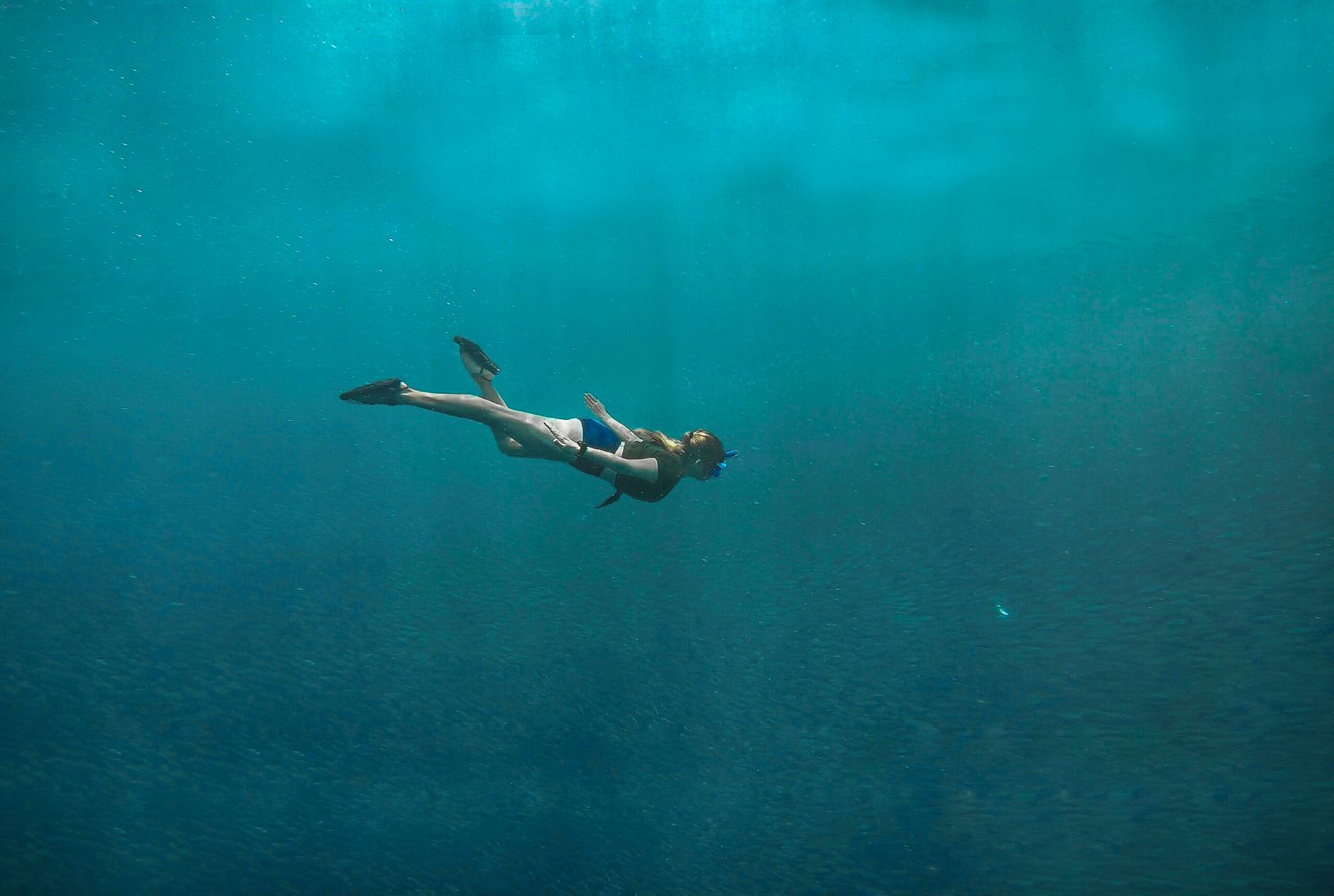 Snorkeling and diving in the Sea of Cortez