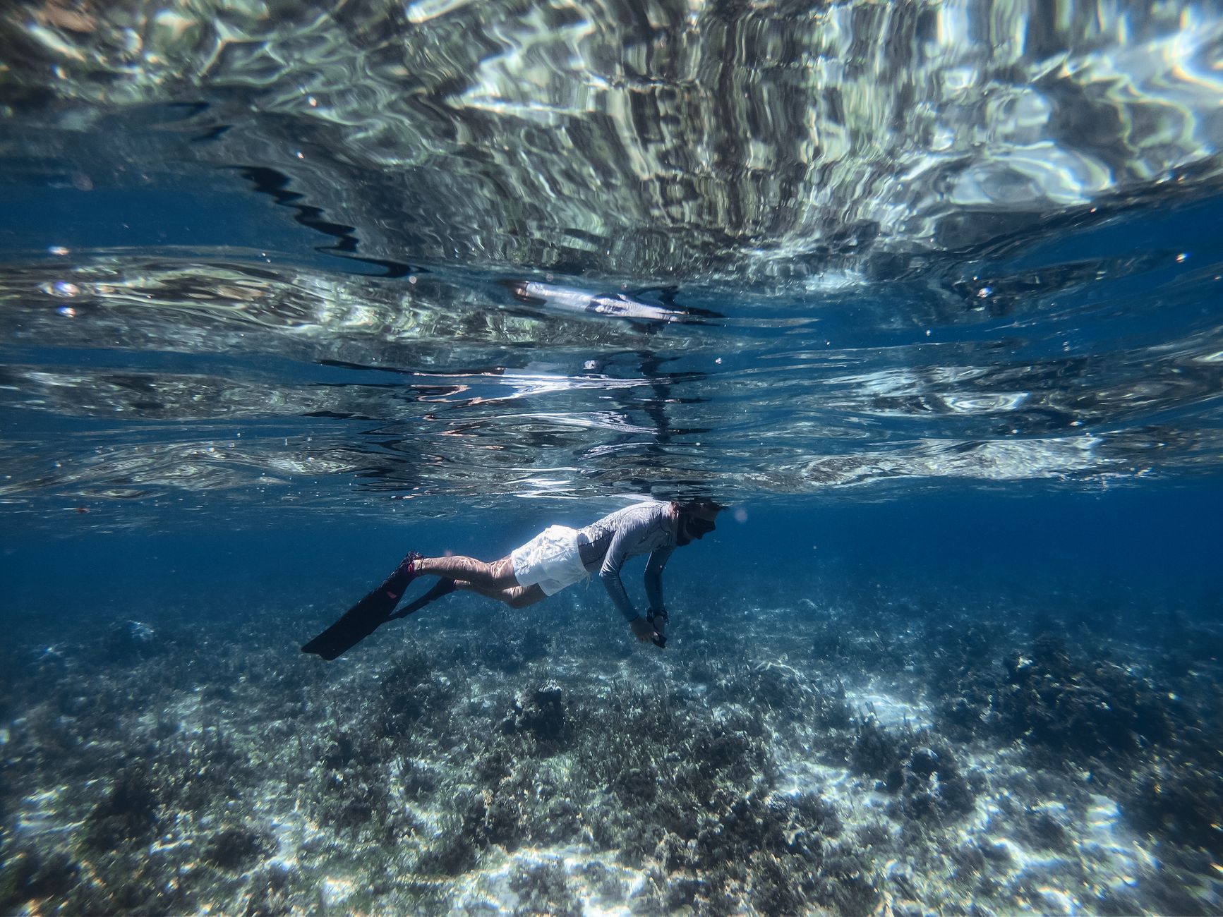 Snorkeling the Mesoamerican Reef (the world's 2nd largest)