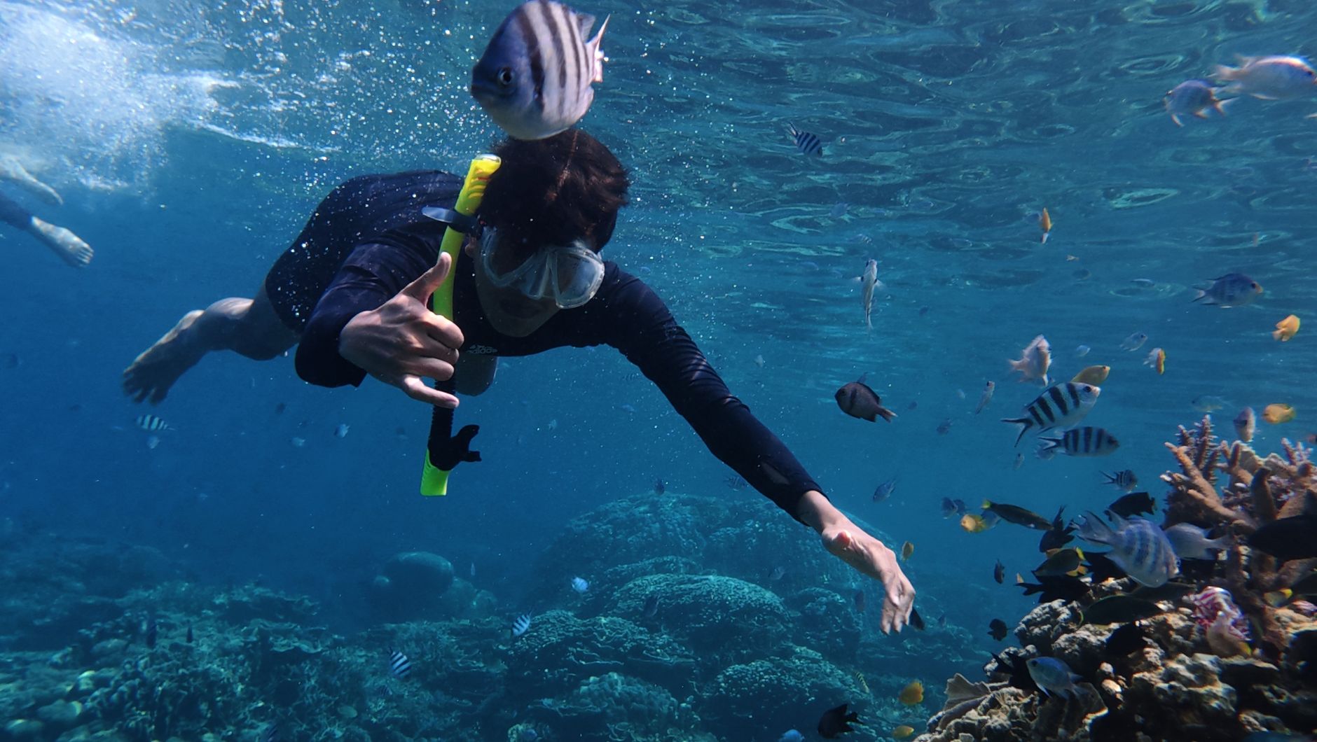 Top-tier diving and snorkeling