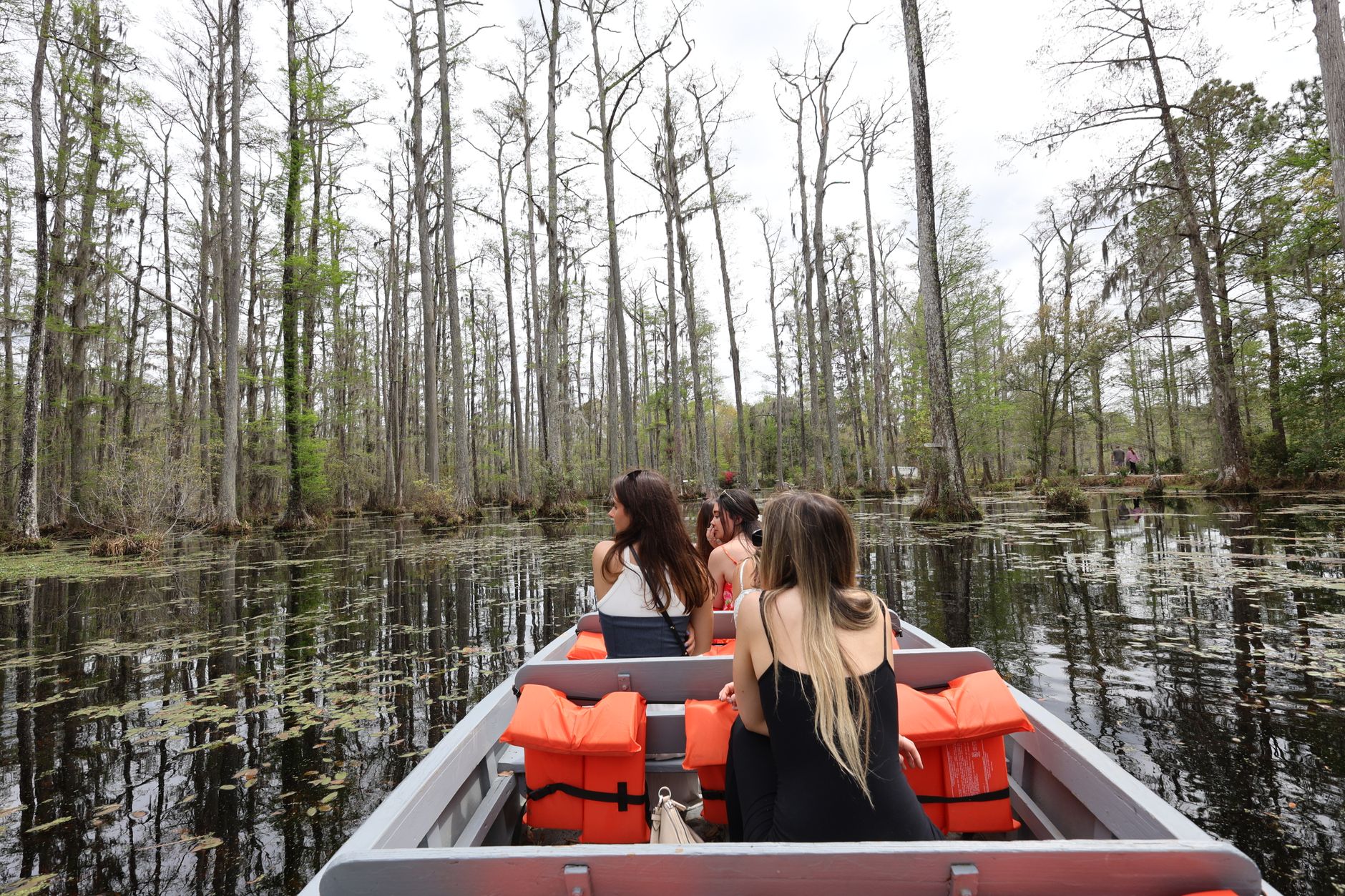 Swamp tours just outside the city
