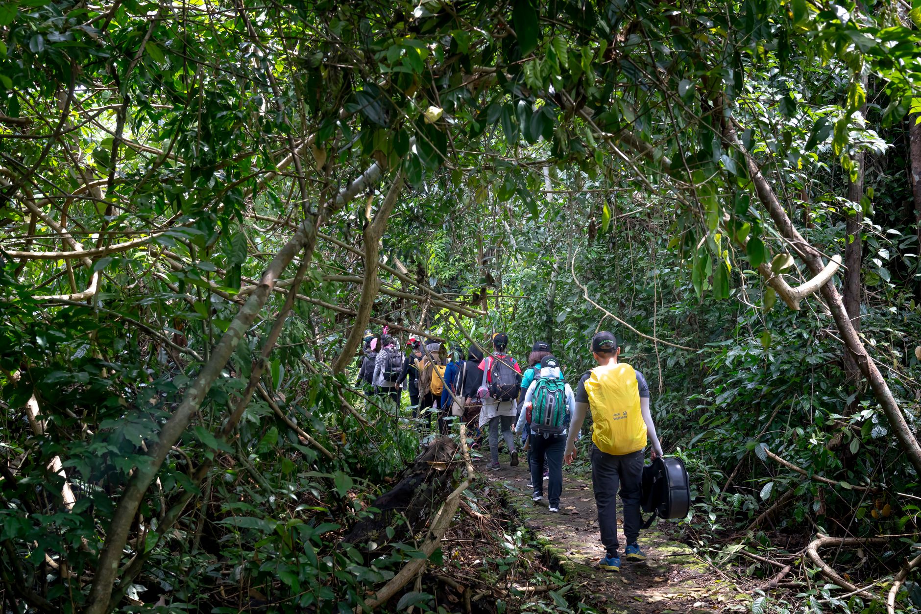 Day trip to the Soberanía rainforest
