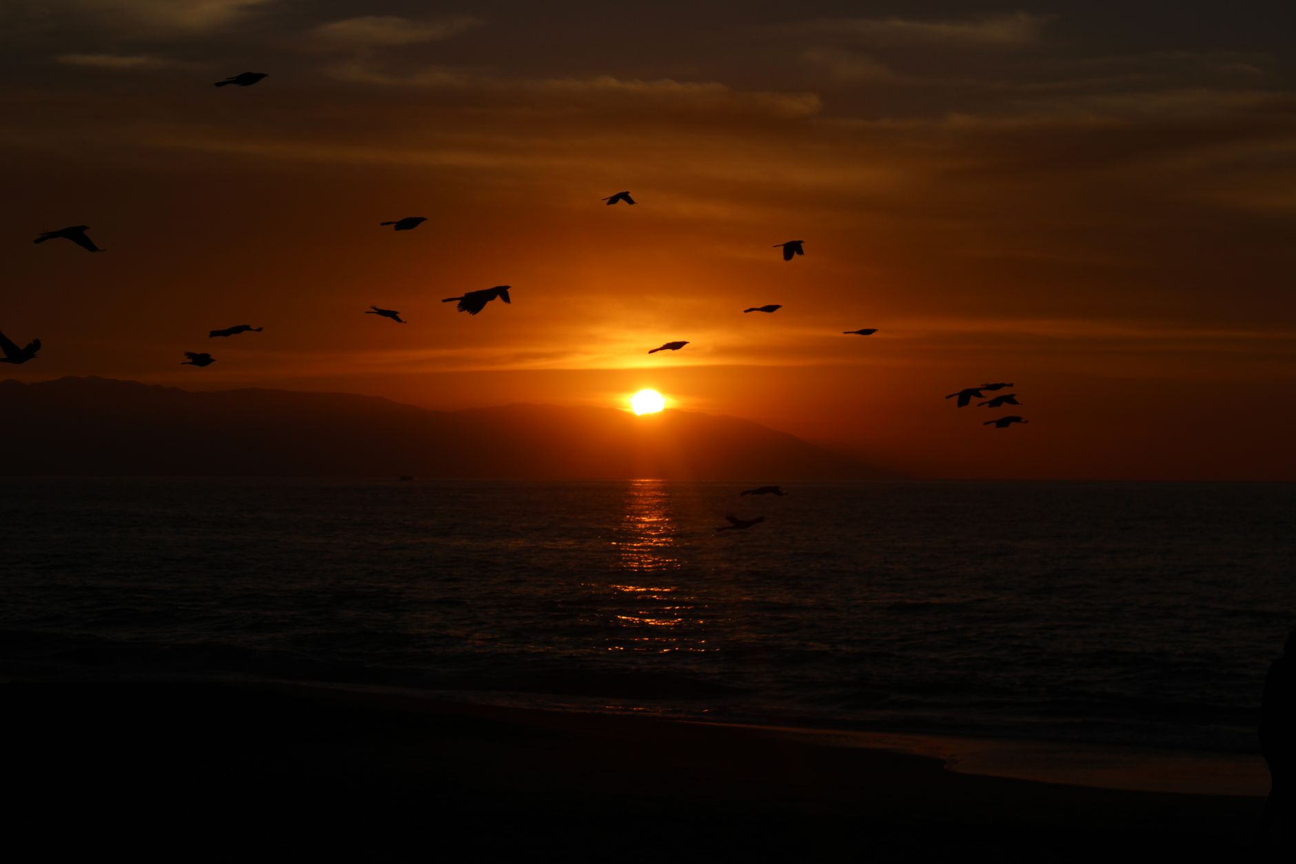 Puerto Vallarta