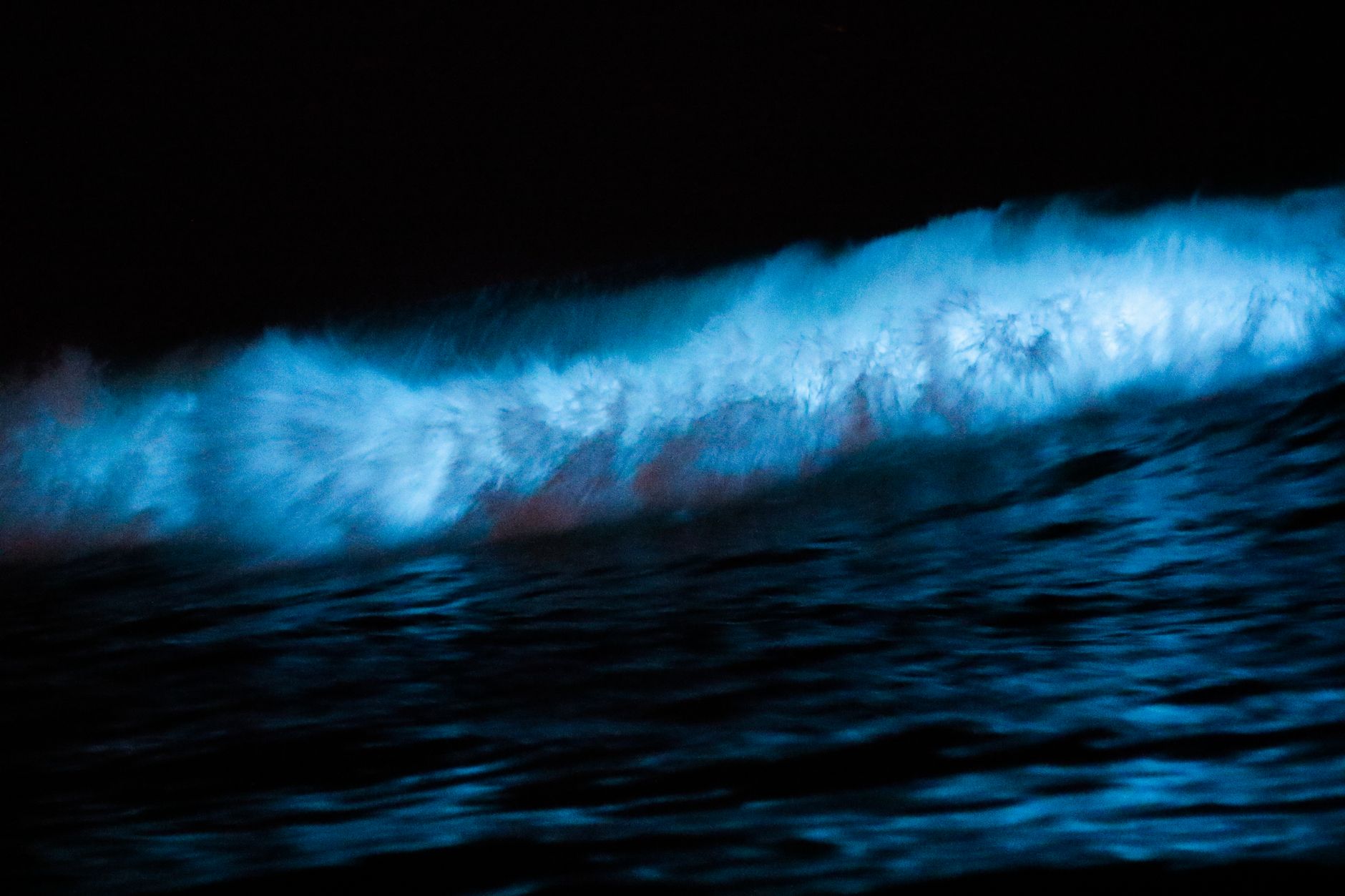 Bioluminescent bay at night