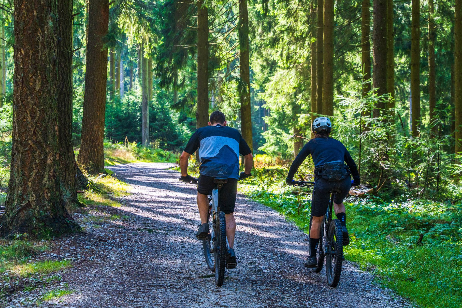 Summer mountain biking